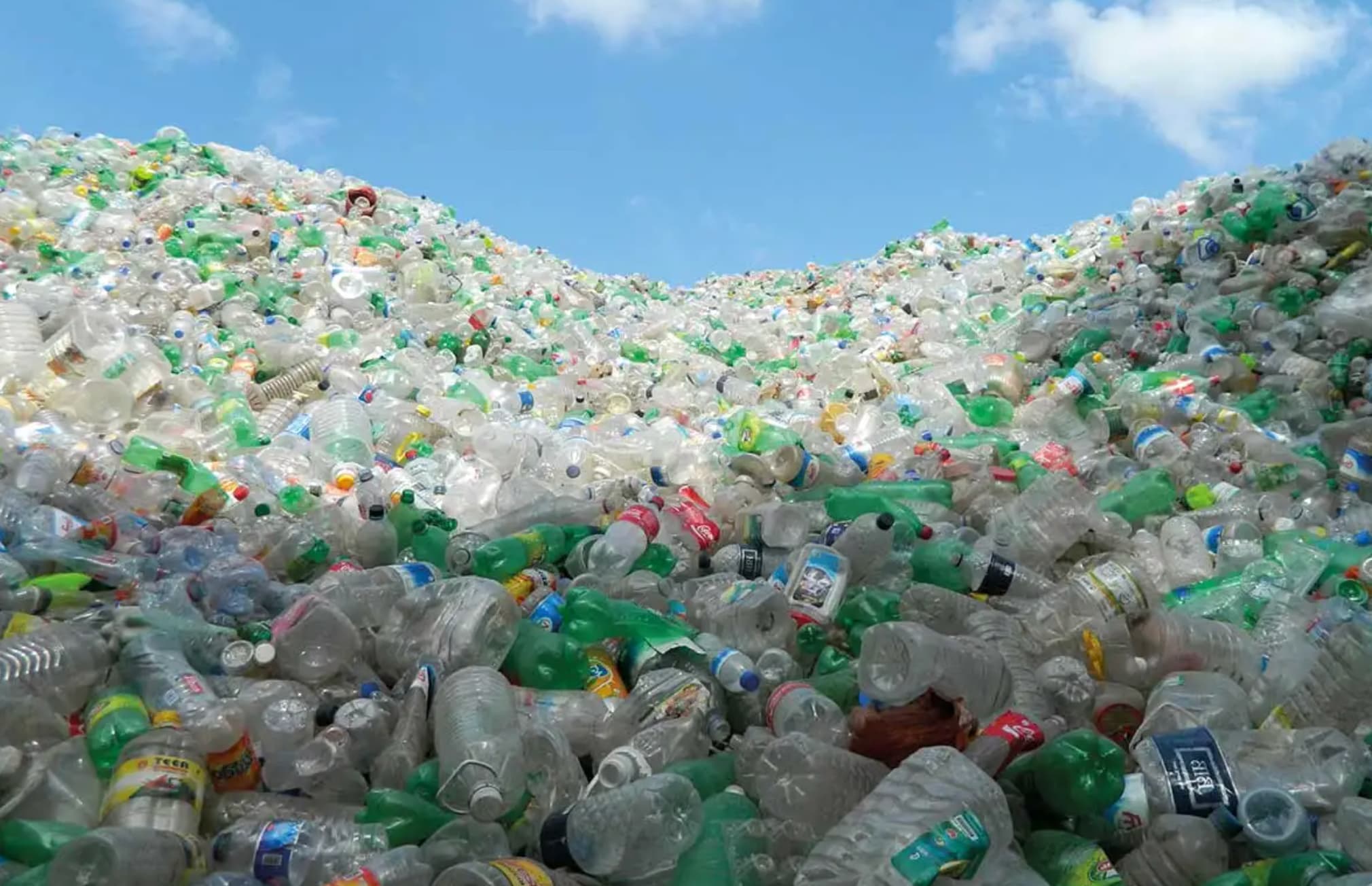 millions of plastic bottles